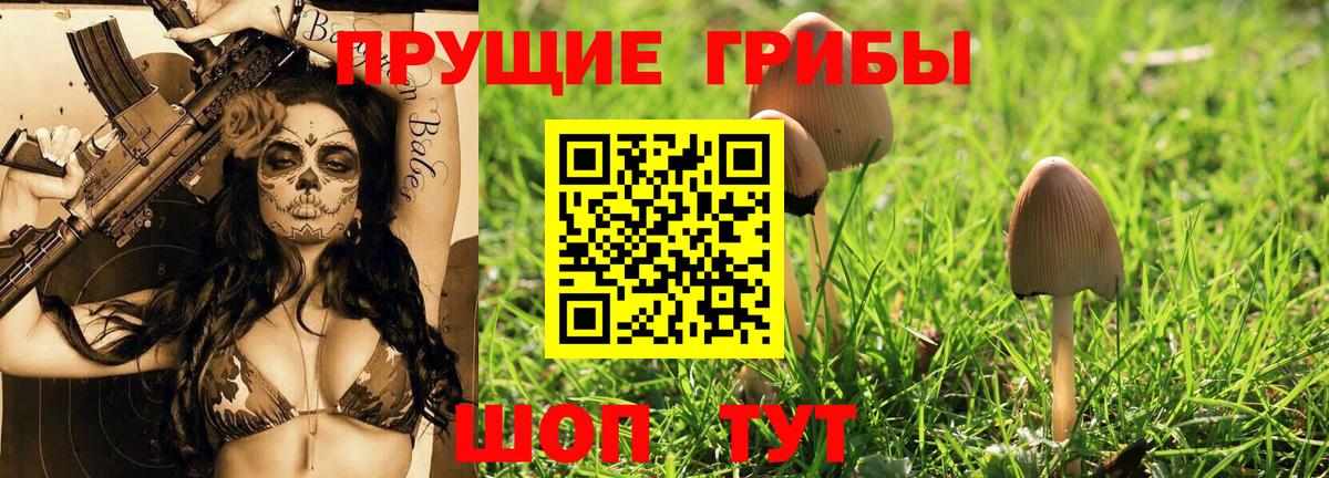 Псилоцибиновые грибы мухоморы Каменск-Шахтинский
