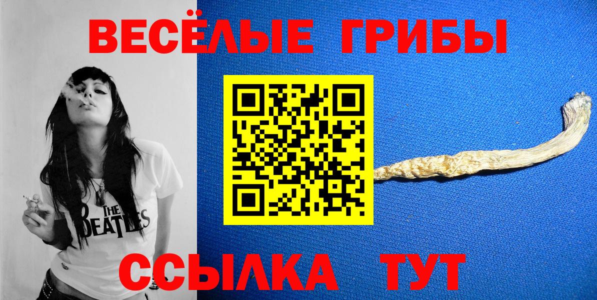Псилоцибиновые грибы Cubensis  Псилоцибиновые грибы Psilocybe  Каменск-Шахтинский  как найти наркотики  Вход с VPN 